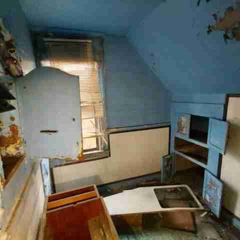 8031 conger (33).jpg